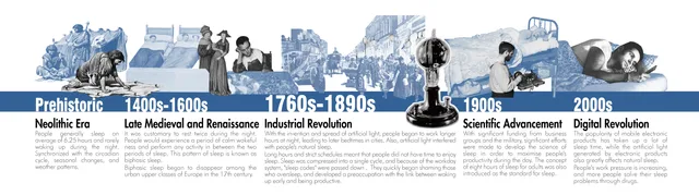 History — Project 03